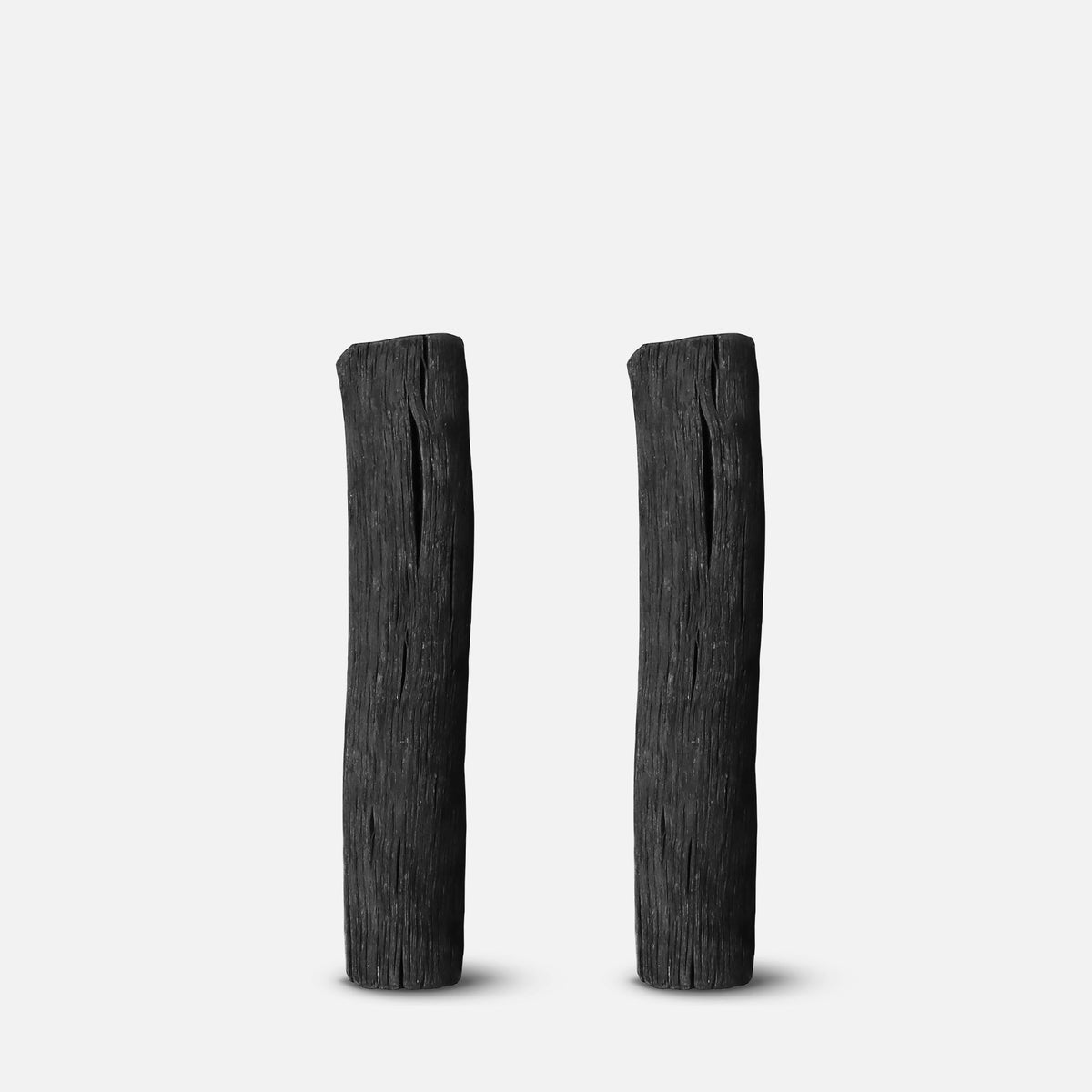 Black+Blum Active Charcoal Water Filter Pack (2 Filters)